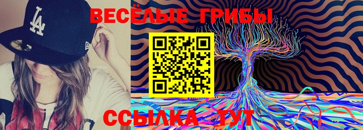 Амурск  Галлюциногенные грибы мицелий  Вход с VPN 