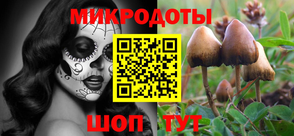 Псилоцибиновые грибы мицелий Амурск